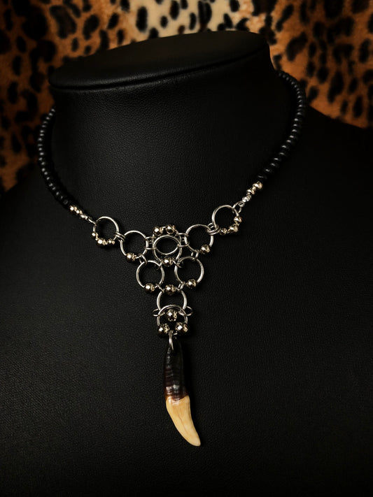 Tribal Tooth - Set